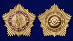 Нагрудный знак "За службу в Германии"