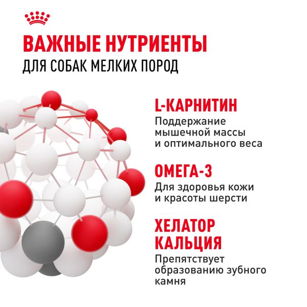 Сухой корм Royal Canin Mini Adult для взрослых собак мелких размеров от 10 месяцев