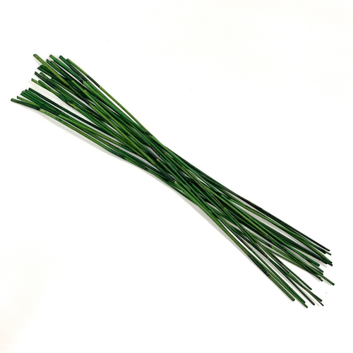 Элефант Рид зелёный 90см 21 ветка