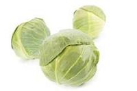 Белокочанная