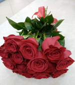 15 красных роз (длина 40 см)