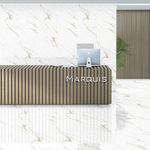 Kevis Holand White Polished 60x120