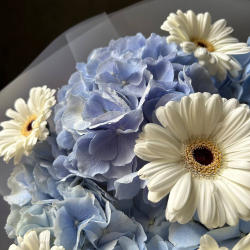 WOW-букет с голубой гортензией в стильной упаковке/ Цветы/ букет от RoseMarkt