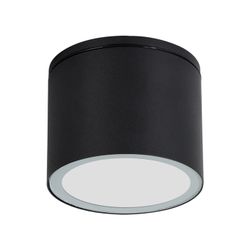 Уличный потолочный светильник Arte Lamp PIAUTOS