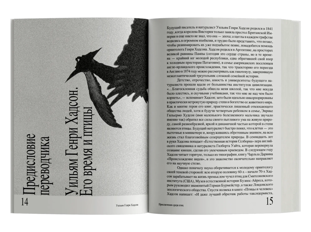 Приключения среди птиц