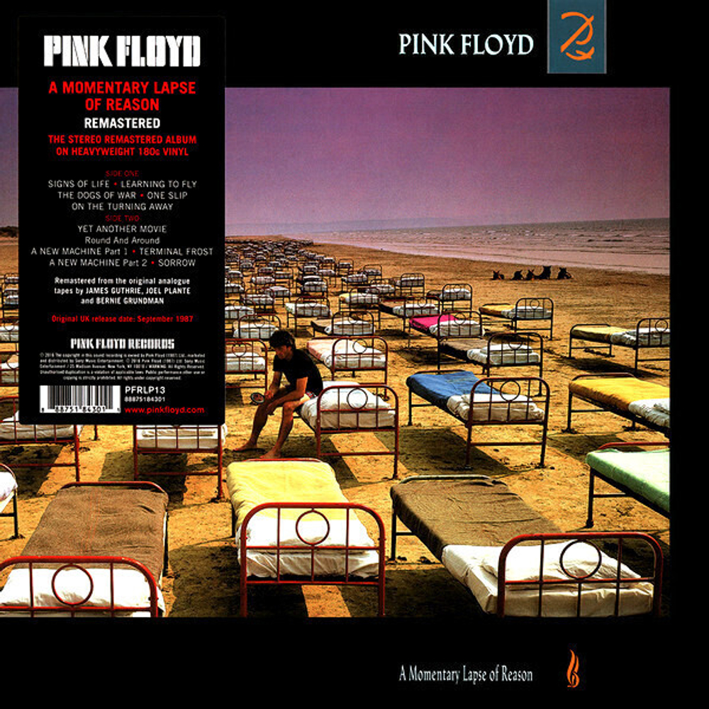 Pink Floyd / A Momentary Lapse Of Reason (LP)