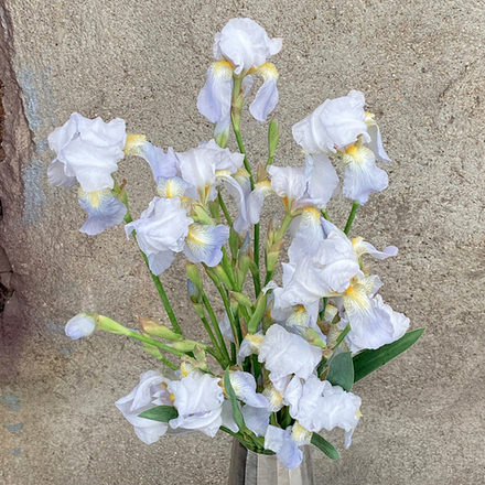 🌸⚜️ Флёр де Луи — букет дымных цветов — 8 марта у Феи