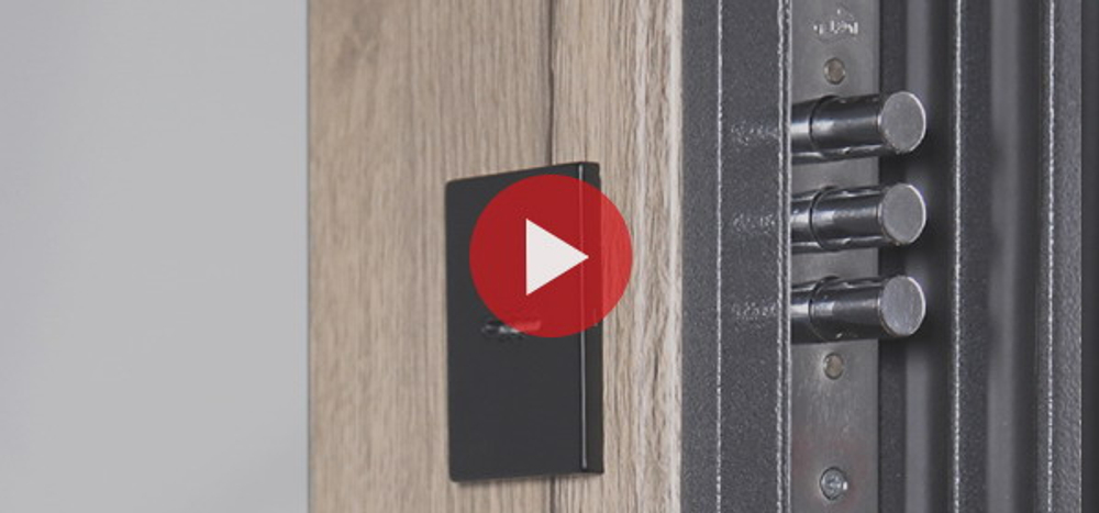 Стальная дверь  "Беркут" с зеркалом