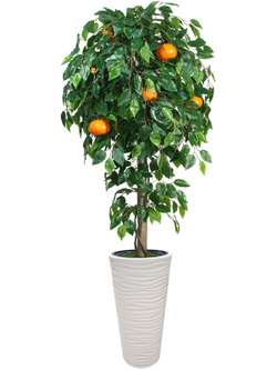 Искусственное дерево Мандарин 190 см в высоком круглом белом кашпо
