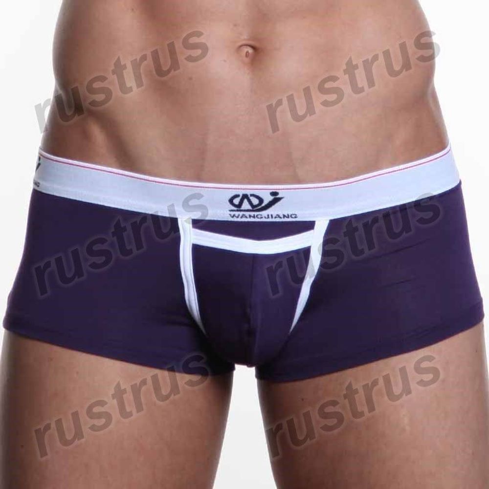 Мужские трусы хипсы фиолетовые WANGJIANG WG00004