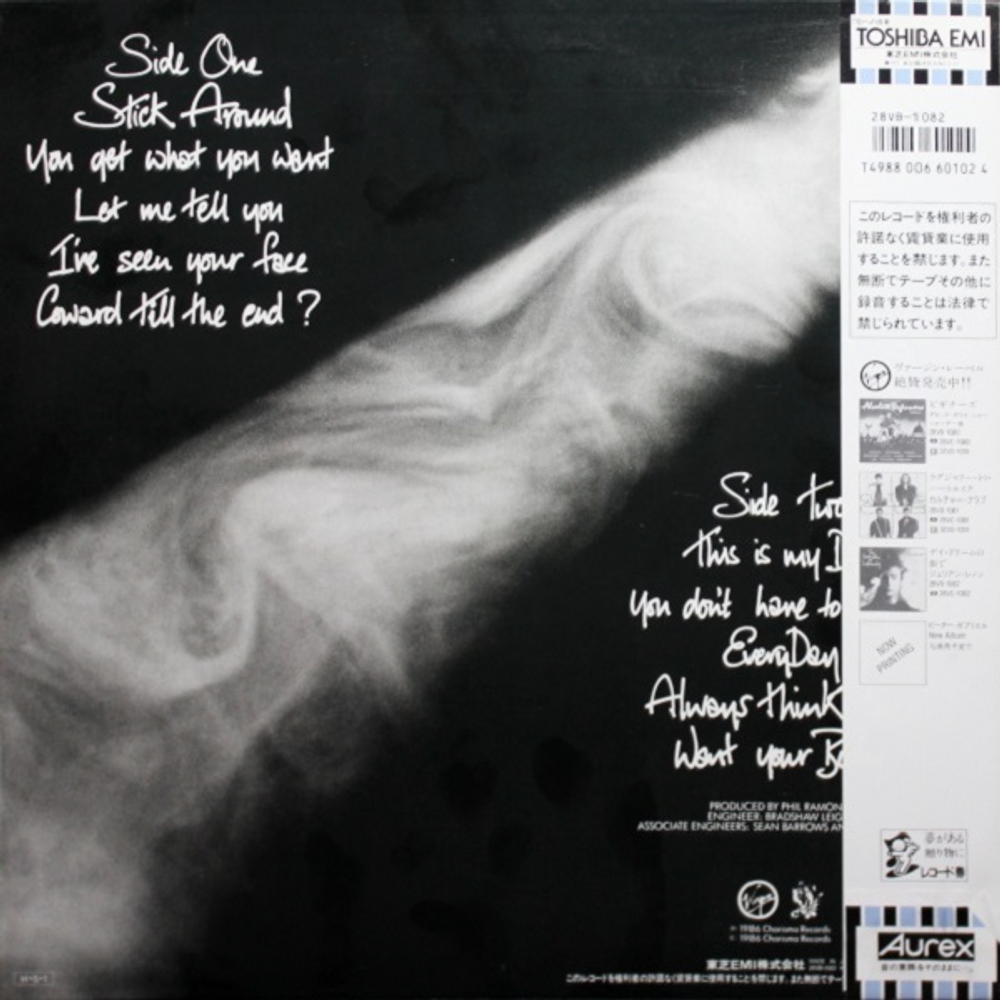 Julian Lennon / The Secret Value Of Daydreaming (LP)