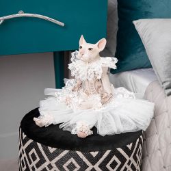 Кукла коллекционная Кошка Майя