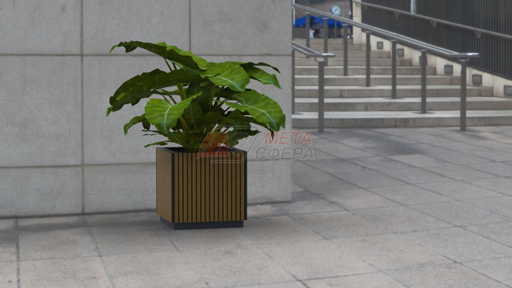 Вазон Барселона