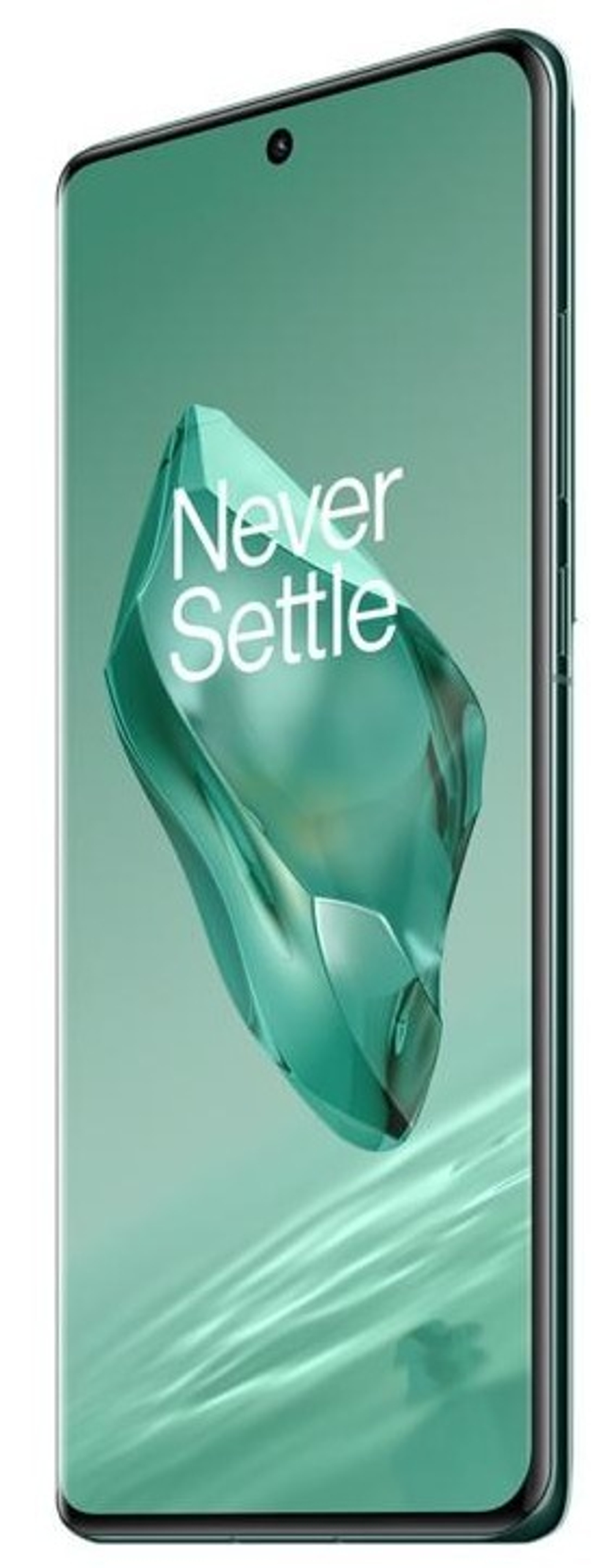 Смартфон OnePlus 12 12 ГБ/256 ГБ (Волнистый изумруд | Flowy Emerald) (версия Global)