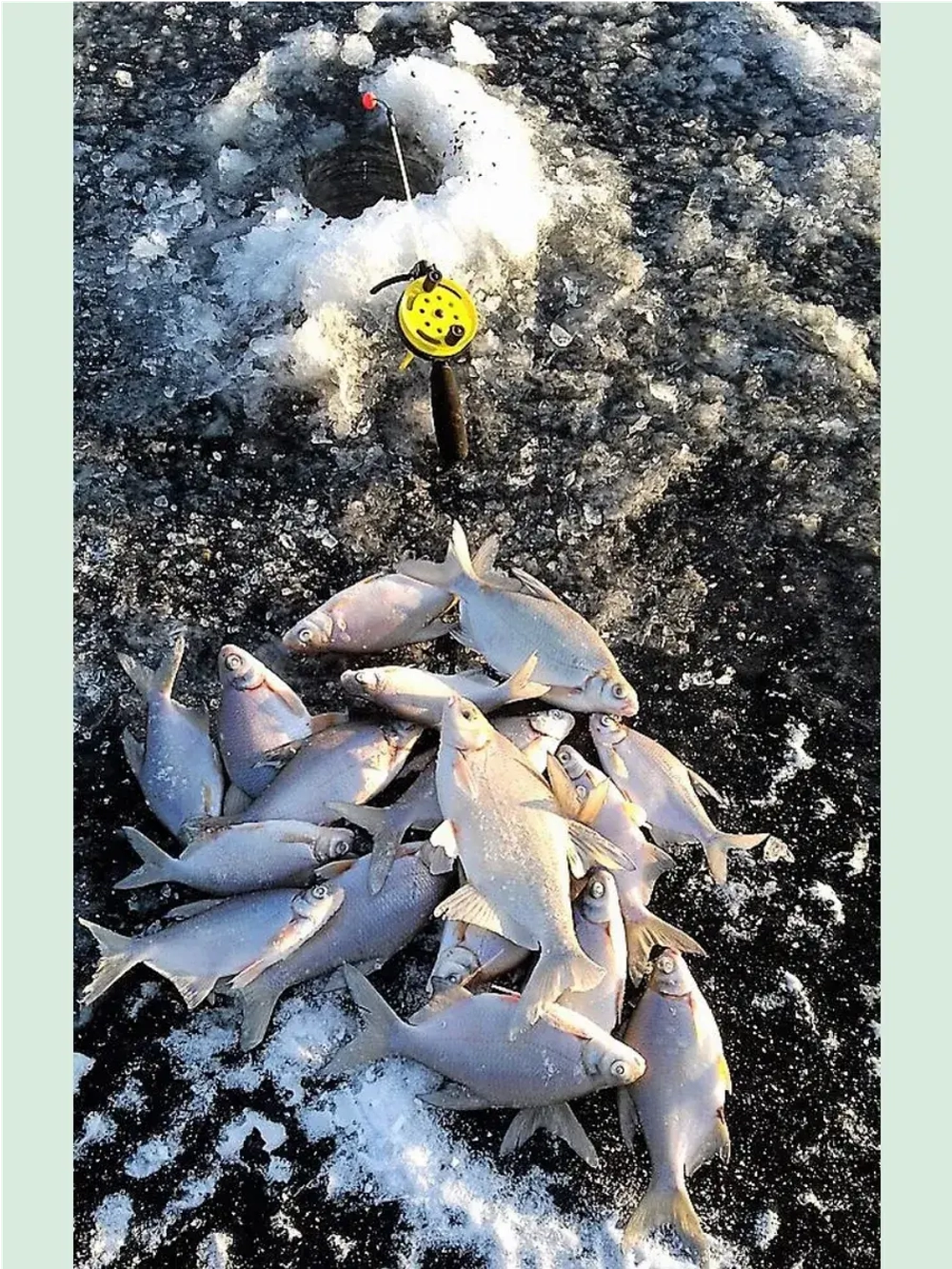 Леска монофильная Tiagra