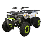 Квадроцикл AVANTIS H200 NEW (Баланс. вал)