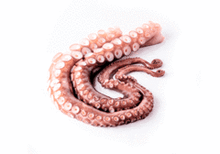 Щупальца осьминога замороженные~600г