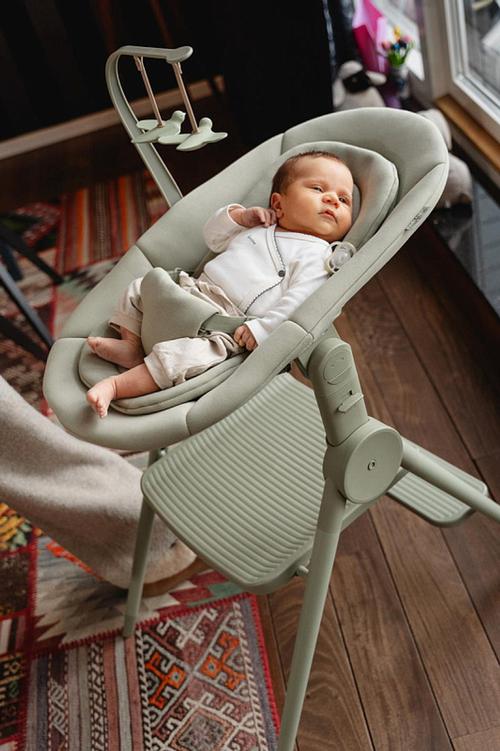 Стул-трансформер для кормления Anex Ozy june