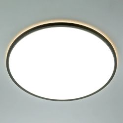 Citilux NORMA CL749501 LED RGB Светильник с пультом Чёрный