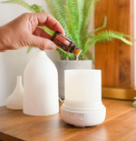 Смесь солнечных ароматов «Бесконечное лето» doTERRA, Endless Summer, 15 мл