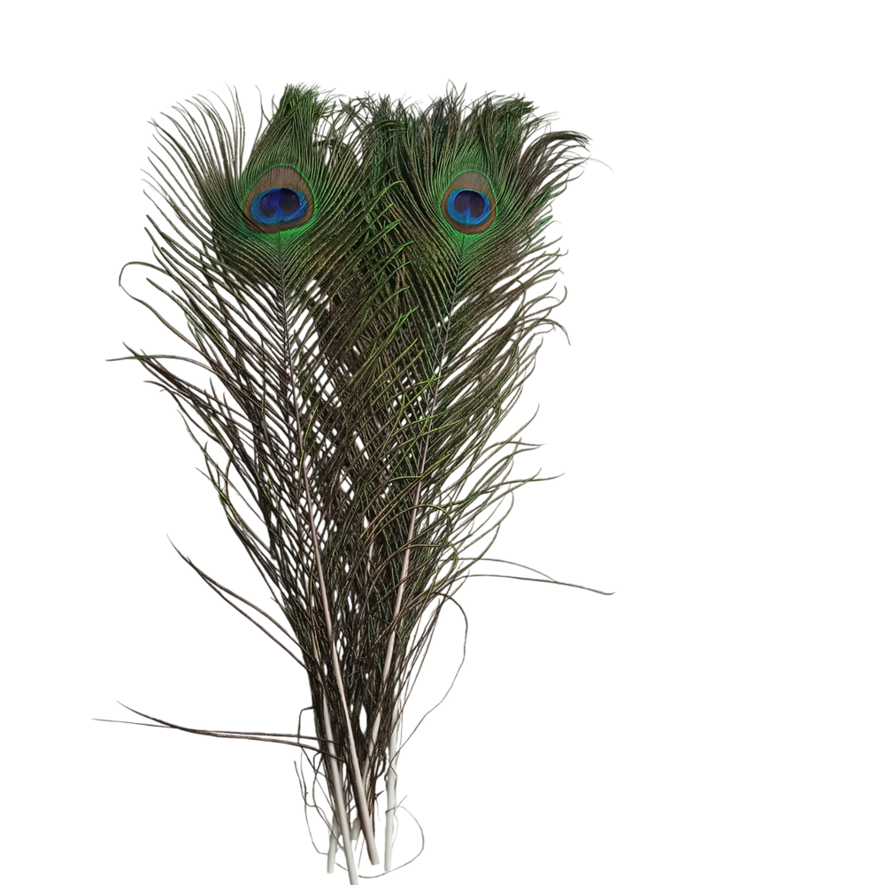 Перо павлина длинное "глаз" натуральное
