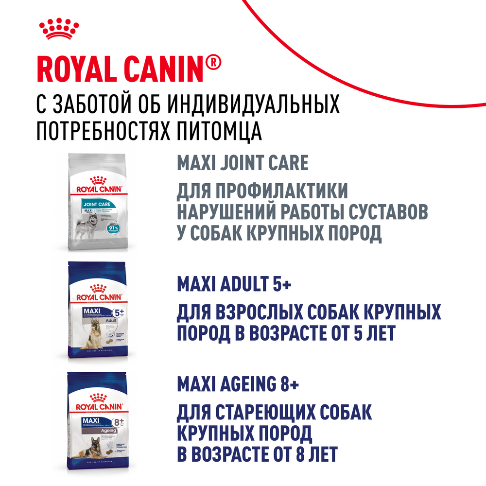 Royal Canin Maxi Adult Корм сухой для взрослых собак крупных размеров от 15 месяцев до 5 лет 3 кг