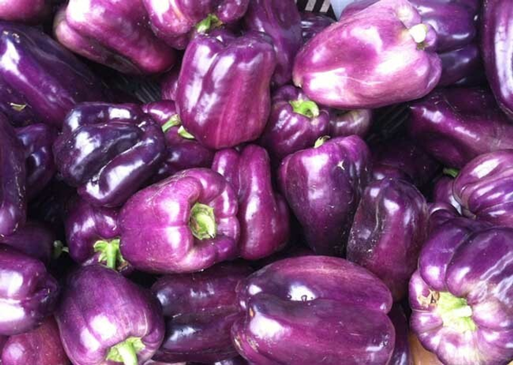 Перец Текила F1 5шт Мировые Семена VITA GREEN