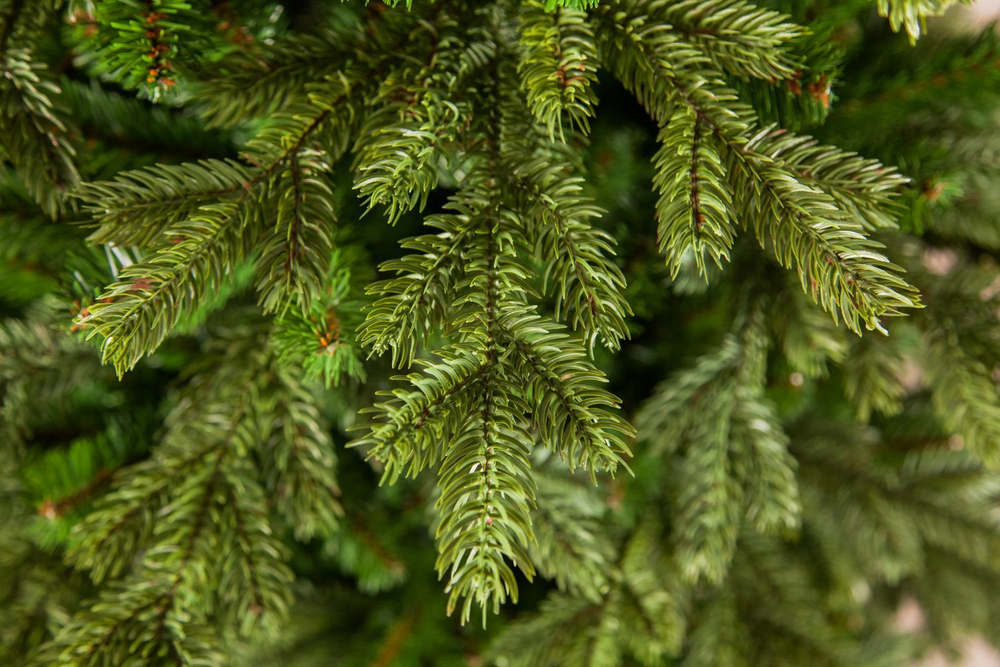 Ель Шервуд Премиум Стройная 215см зеленая Triumph Tree