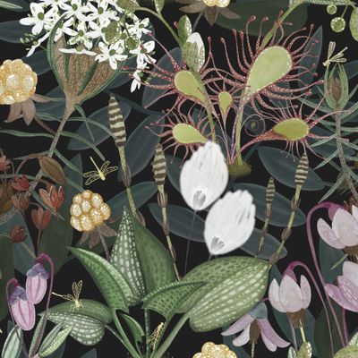 Болотные растения