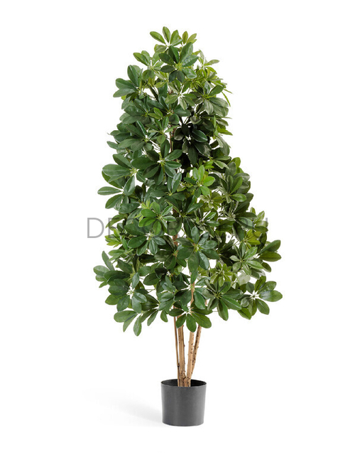 Шеффлера натуральная зелёная 110 см 2/2 10.38504N