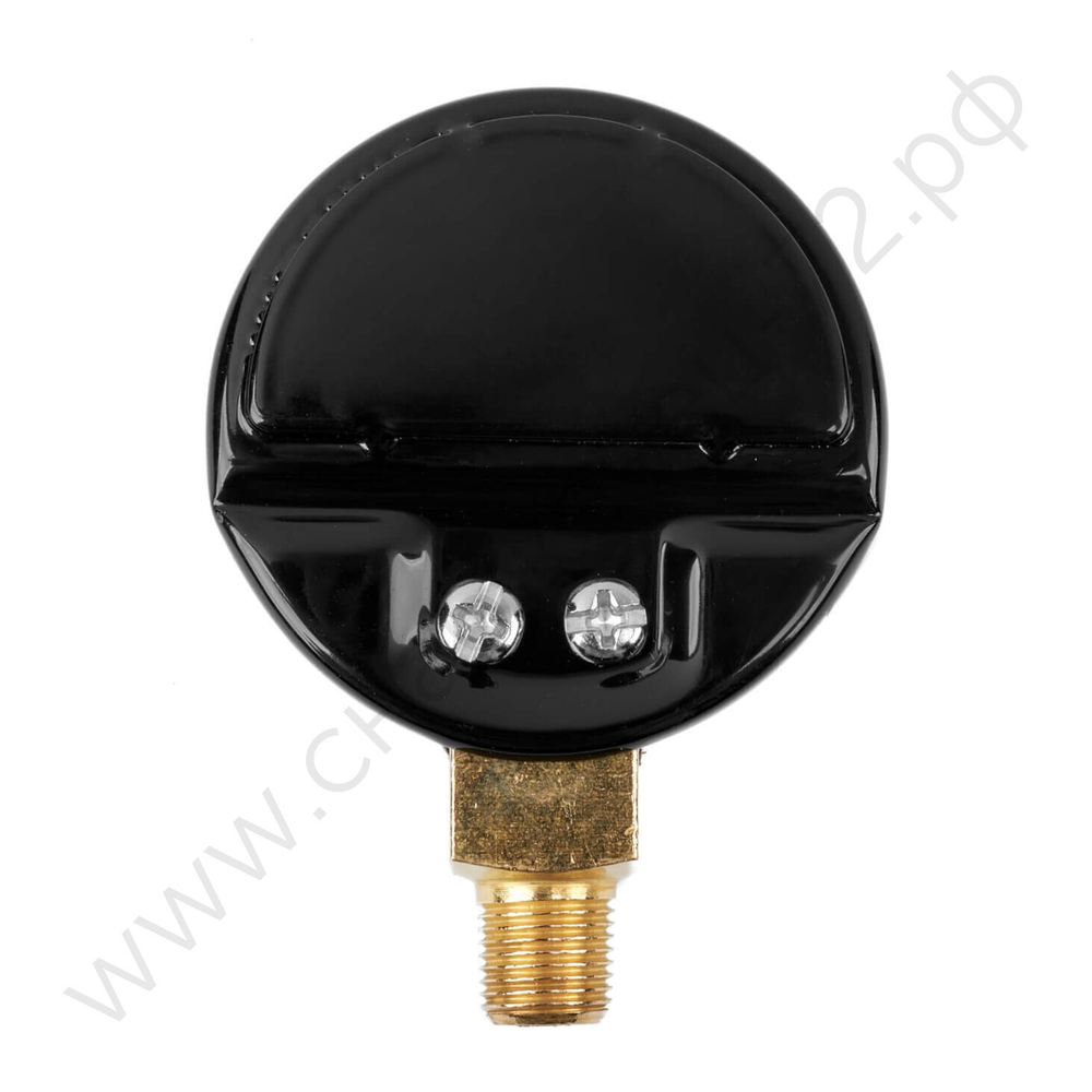 Манометр 25,0 МПа, 1/8 NPT, углекислый газ