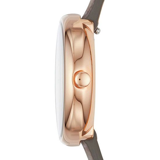 Женские часы Skagen SKW2644