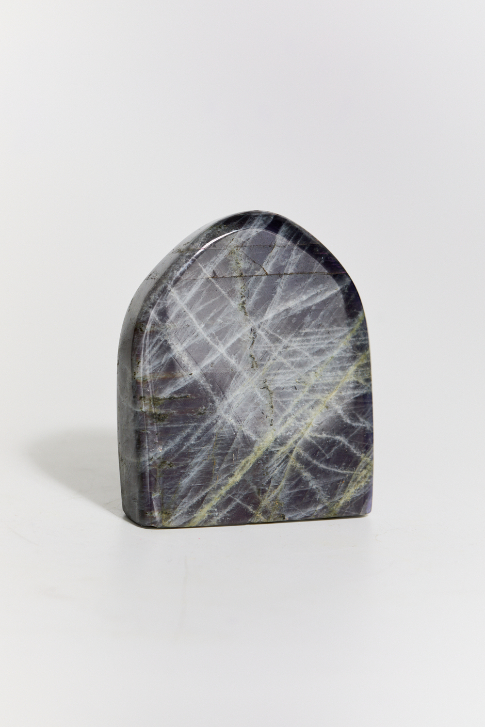 Срез Лабрадора M