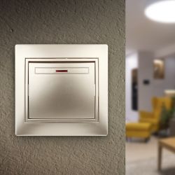 1-102-04 Intro Выключатель с подсветкой, 10А-250В, IP20, СУ, Plano, шампань | Intro Plano Шампань