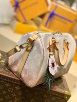 Louis Vuitton Speedy 25