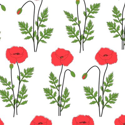 Цветы маки. Полевые цветы. Прованс