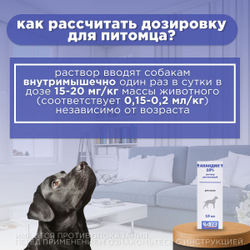 Иммуномодулятор раствор для инъекций АВЗ Анандин 10% для собак, 10 мл