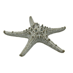 blyudo-zvezda-24-sm-keramika-frutti-di-mare-p-l-lg