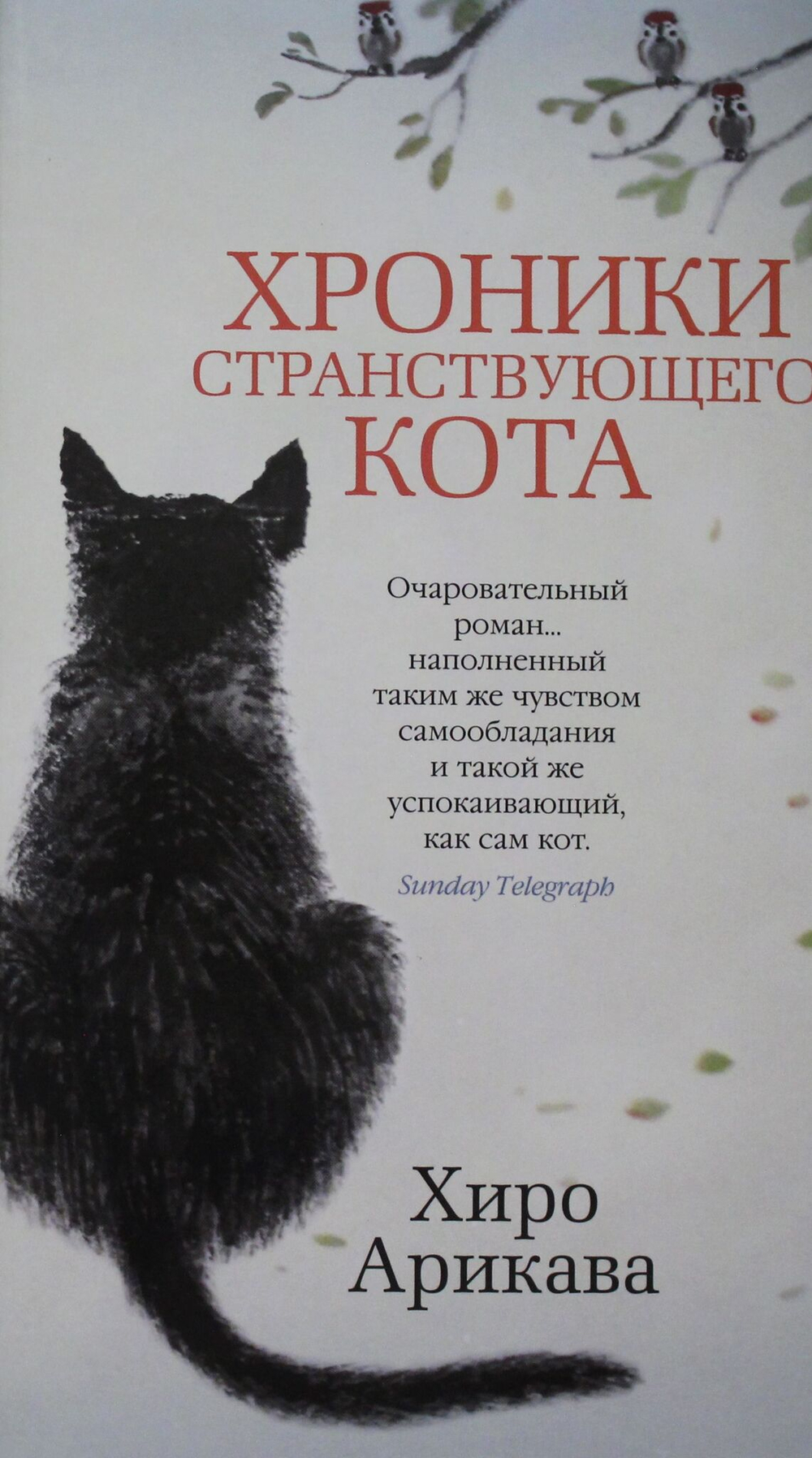 Хроники странствующего кота