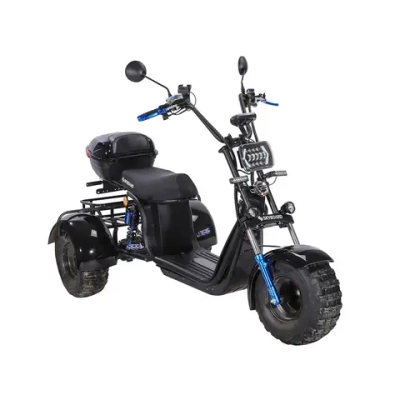 Skyboard TRIKE BR40-3000 PRO FAST OFF-ROAD