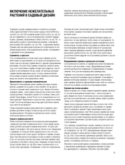 Очаровательные бунтари. Как создать сад с растениями, которые любят свободу