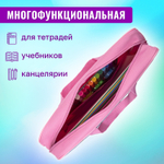 Папка на молнии с ручками BRAUBERG А4 1 отделение полиэстер 80 мм "Funny panda" (2 штуки в упаковке)