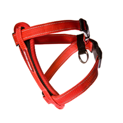 Шлейка Chest Plate EzyDog