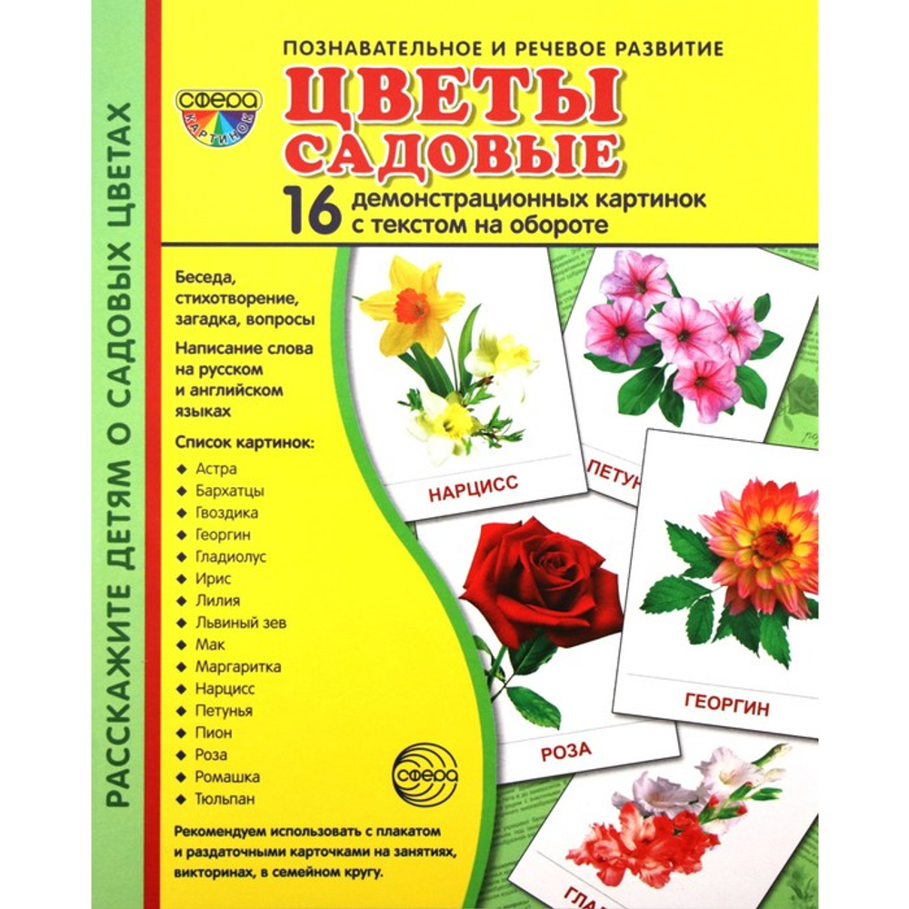Т.В.Цветкова. СУПЕР. Цветы садовые. 16 демонстрационных картинок с текстом на обороте. 0+