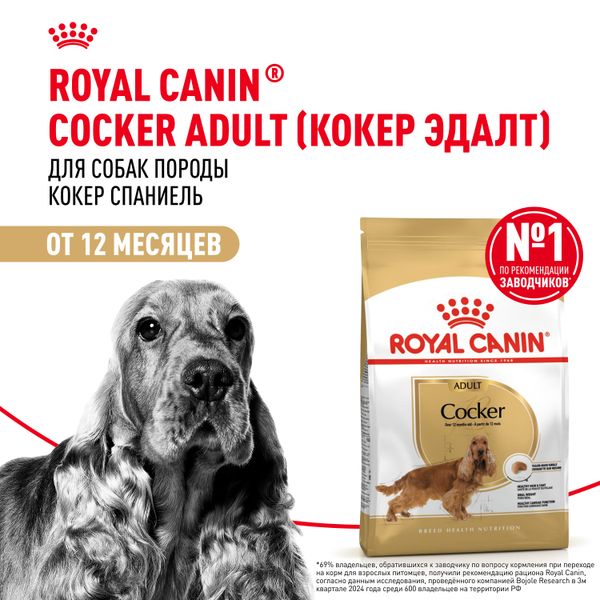 Сухой корм Royal Canin Cocker Adult для взрослых собак породы Кокер Спаниель от 12 месяцев
