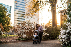 Прогулочная коляска UPPAbaby MINU V2 Greyson