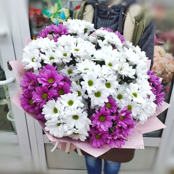 Букет из 15 кустовых хризантем