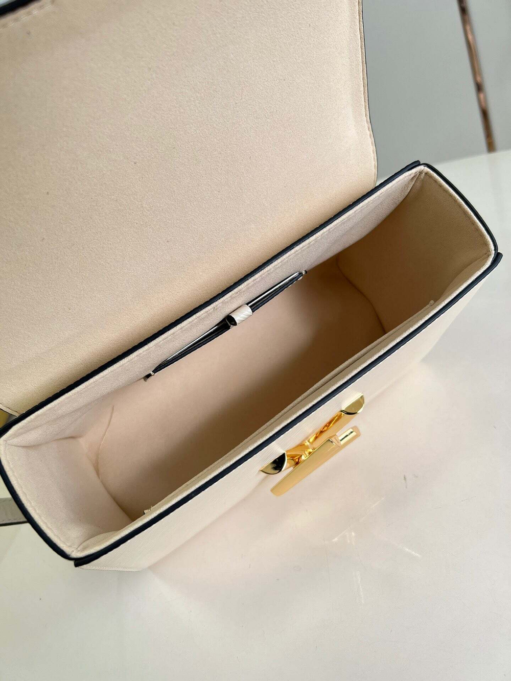 Louis Vuitton Twist PM