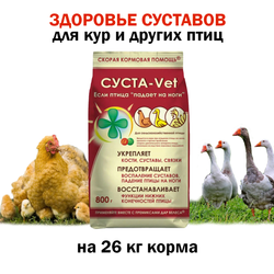 Премикс ДВ Суста-Vet 800 гр