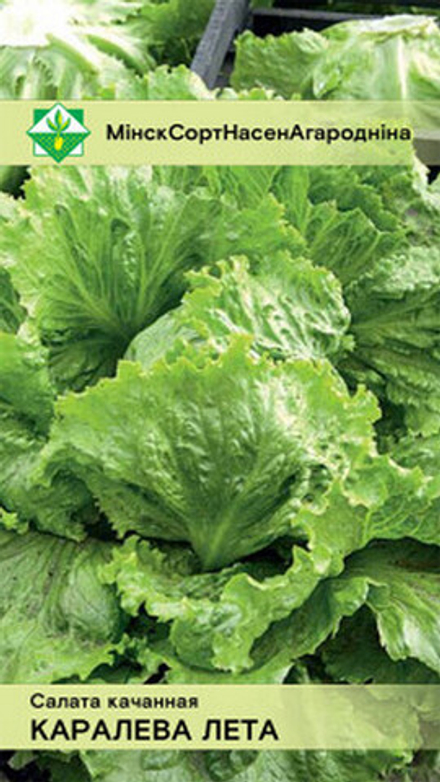 Салат кочанный "Королева лета" 0.5г, Польша.